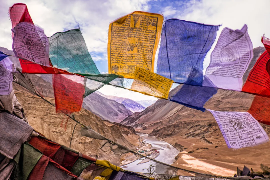 Picture