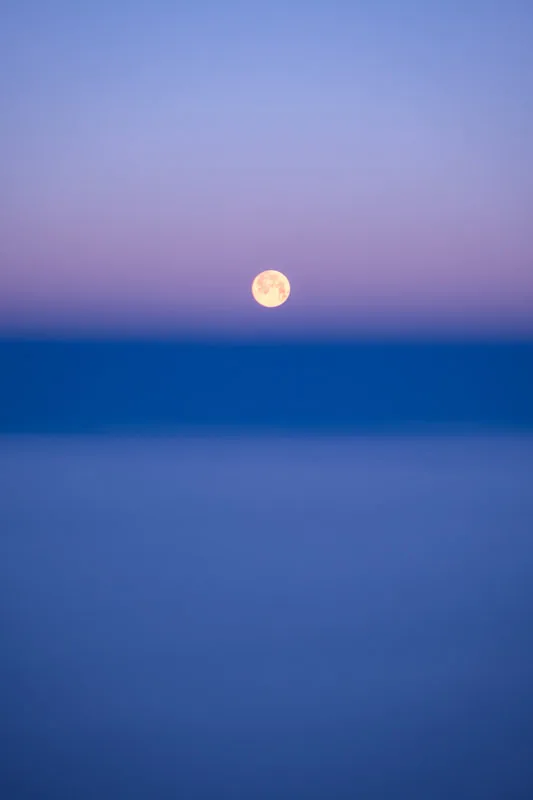 Picture of moonstruck