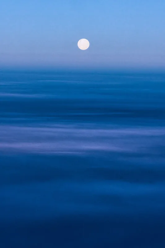 Picture of moonstruck